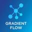 Gradient Flow