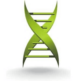 medicalxpress