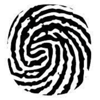 biometric-update