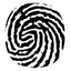 Biometric Update