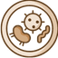 Bioengineer.org