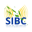 Solomon Islands Broadcasting Corporation (SIBC)