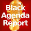 Black Agenda Report