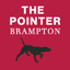 The Pointer