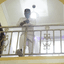 Mustty BIDEMI