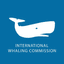 International Whaling Commission