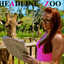Headline Zoo