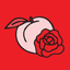 Atlanta DSA