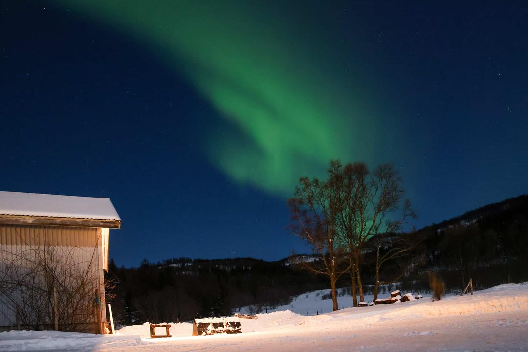 Earth's Magnetic North Pole Accelerates Drift Towards Siberia