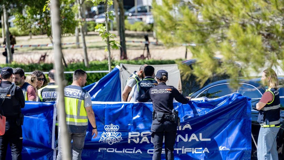Former Ukrainian Politician Shot Dead Outside School in Spain
