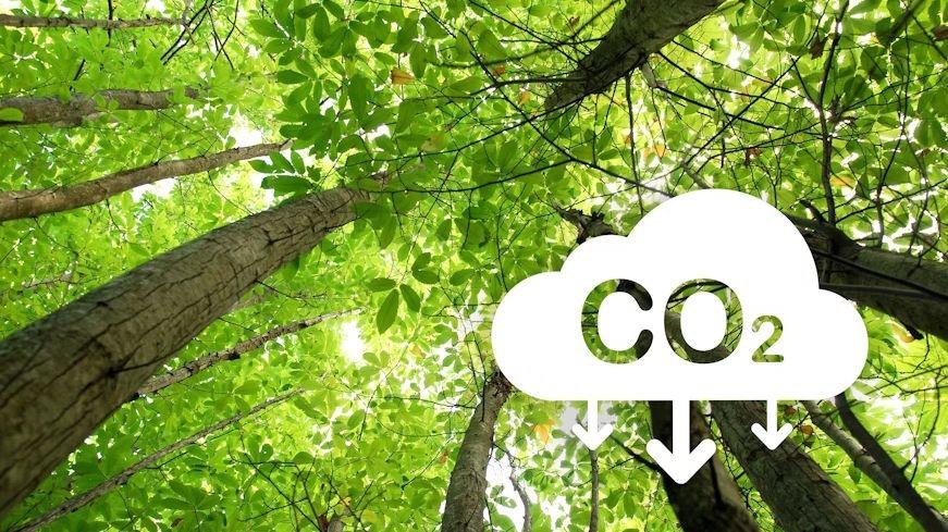 Report: EU to Add Carbon Credits for 2040 Climate Target