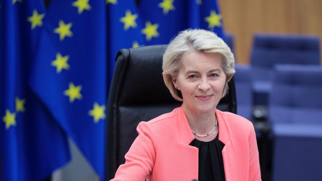 Report: 14 EU States Challenge Budget Reform Plans