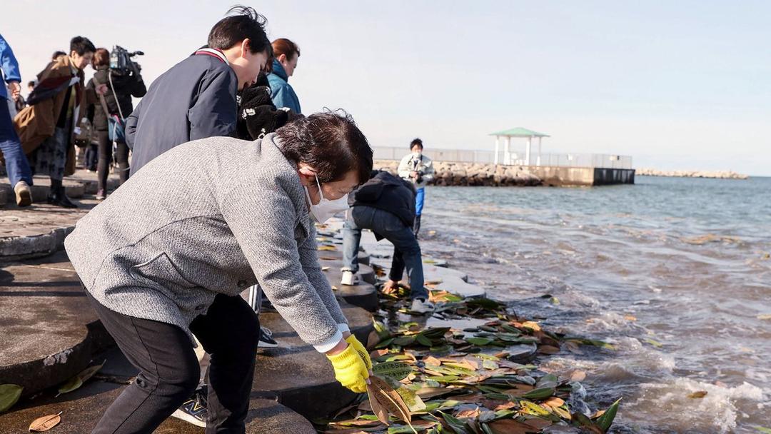 Japan: Flights Canceled After Manga Doomsday Prediction