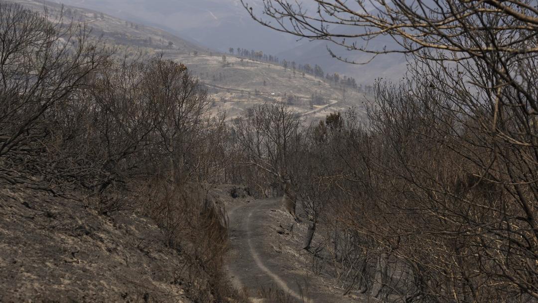 Spain Records Hottest Summer Since 1961