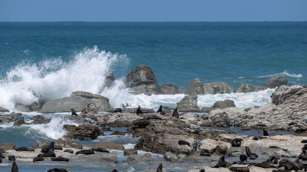 Report: New Zealand Oceans Warming 34% Faster Than Global Average