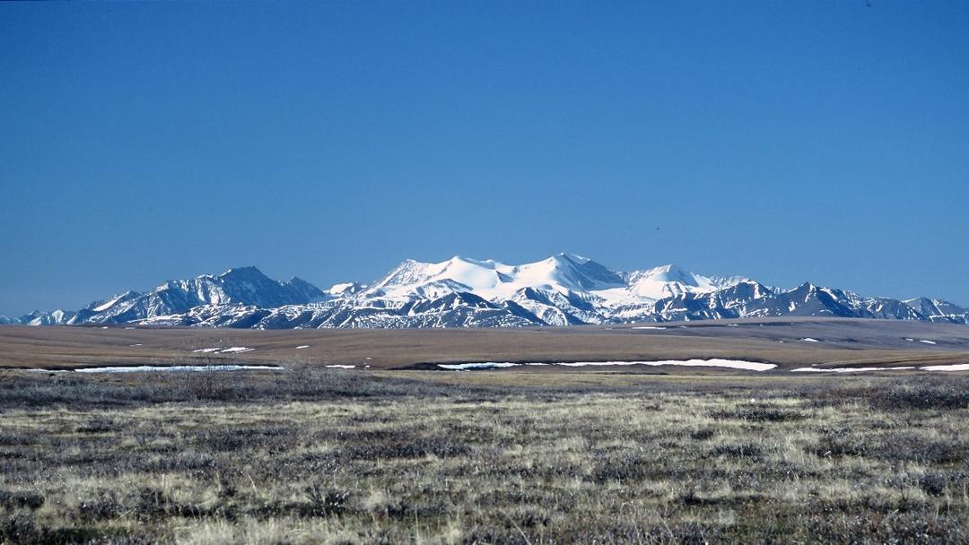 Trump Admin Reopens 1.56M Acres of Arctic Refuge for Drilling