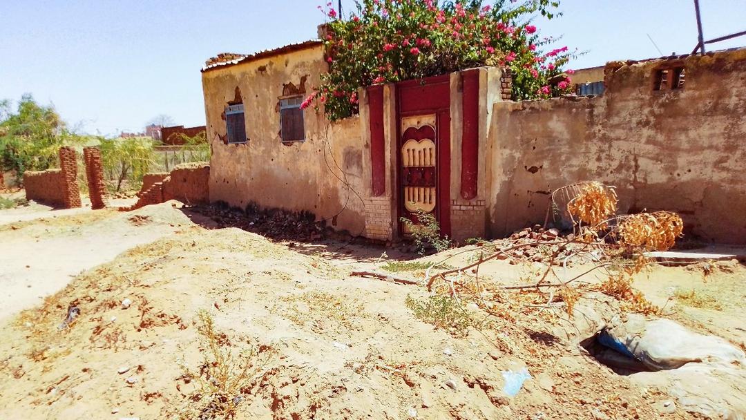 RSF Claims Capture of El Fasher After 18-Month Siege