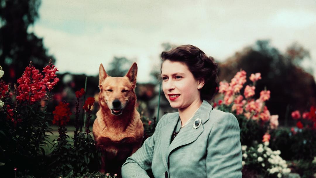 Queen Elizabeth II's Fashion Exhibition to Open at Buckingham Palace in 2026