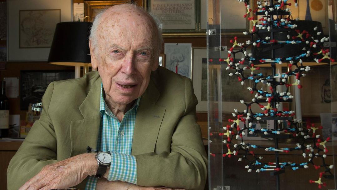 Co-Discoverer of DNA's Structure James Watson Dies at 97