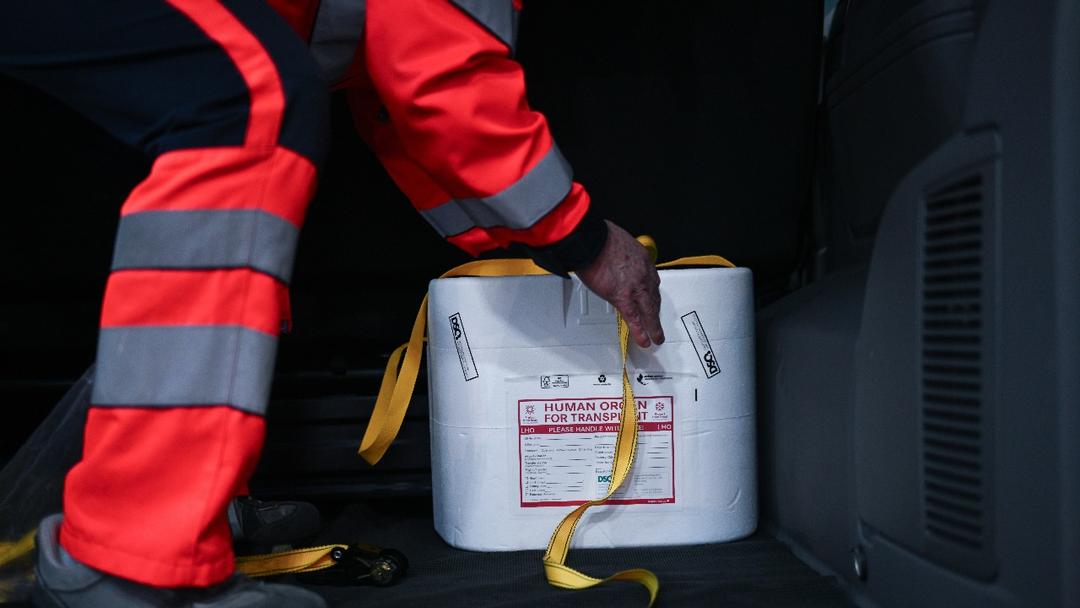 Study: Stanford AI Predicts Organ Donor Death With 75% Accuracy