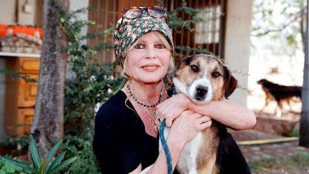French Actress Brigitte Bardot Dies at 91