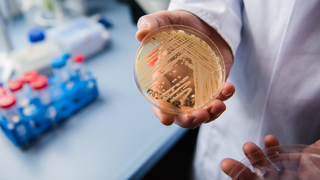 Global Spread of Candida Auris Reaches 60 Countries