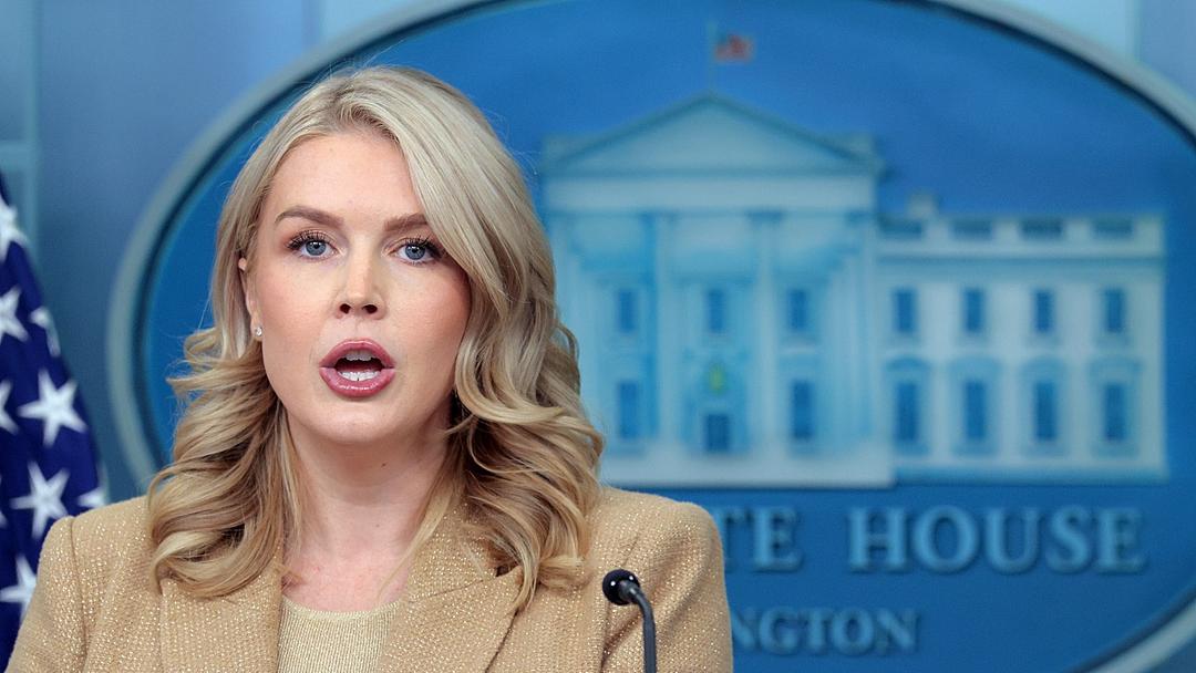 Trump Admin Audits Somali Americans for Alleged Fraud