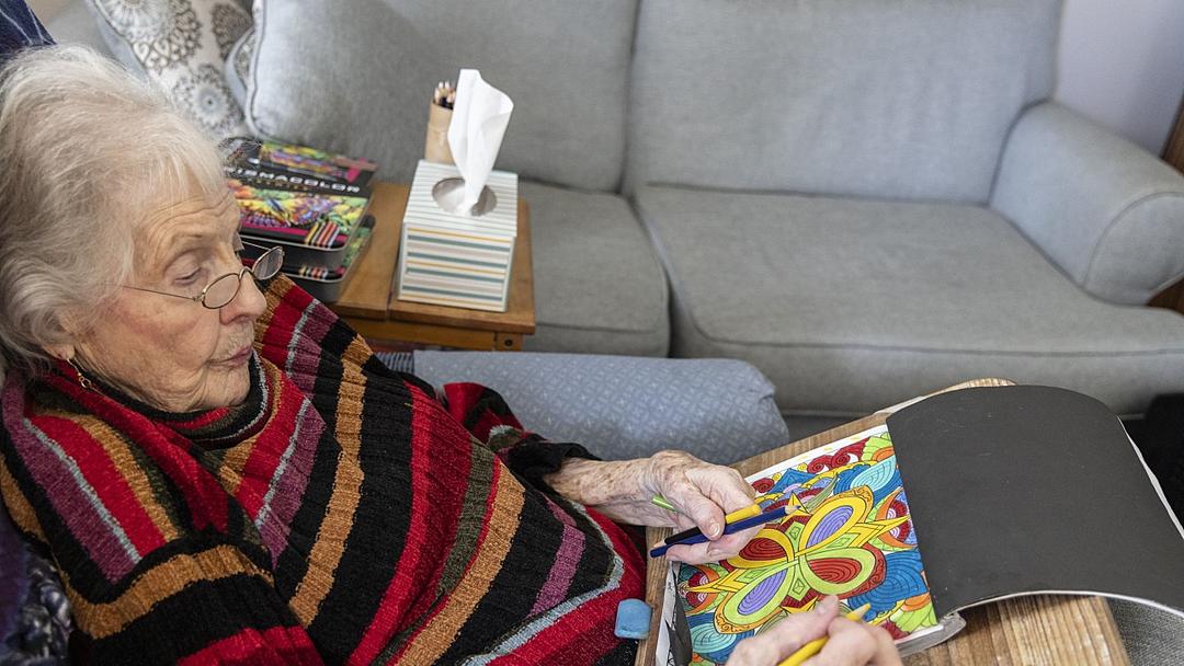 Study: Lifelong Learning Cuts Alzheimer's Risk by 38%