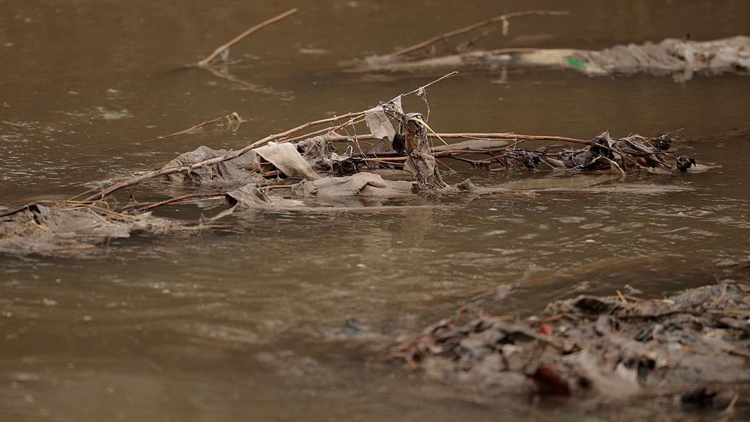 Trump Directs Government to Intervene in Potomac River Sewage Leak