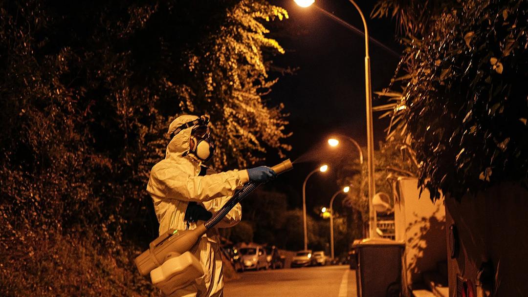 Study: Chikungunya Virus Could Spread Across Europe