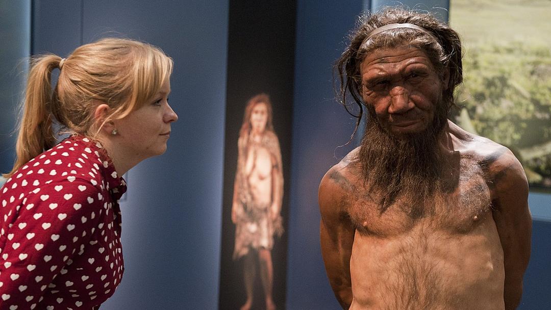 Neanderthal-Human Mating Was Mostly Male-Female, DNA Shows