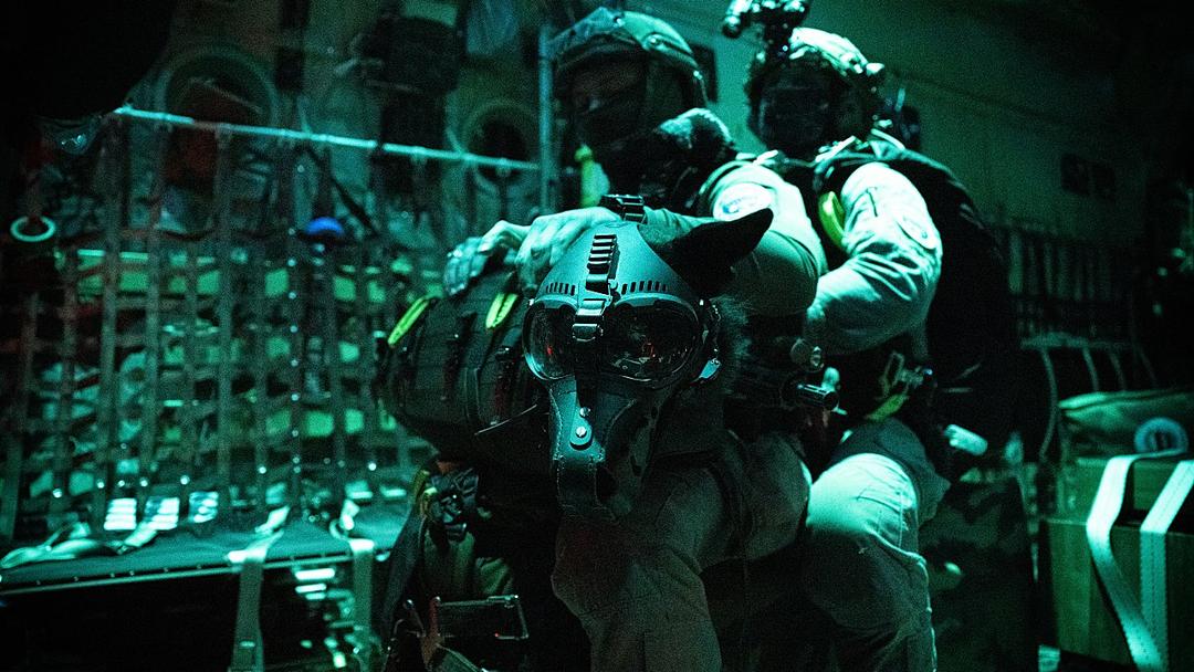 British, French Paratroopers Prepare for Possible Ukraine Peacekeeping Mission