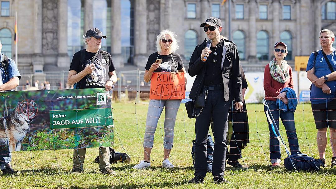 Germany's Lower House Passes Wolf-Hunting Bill