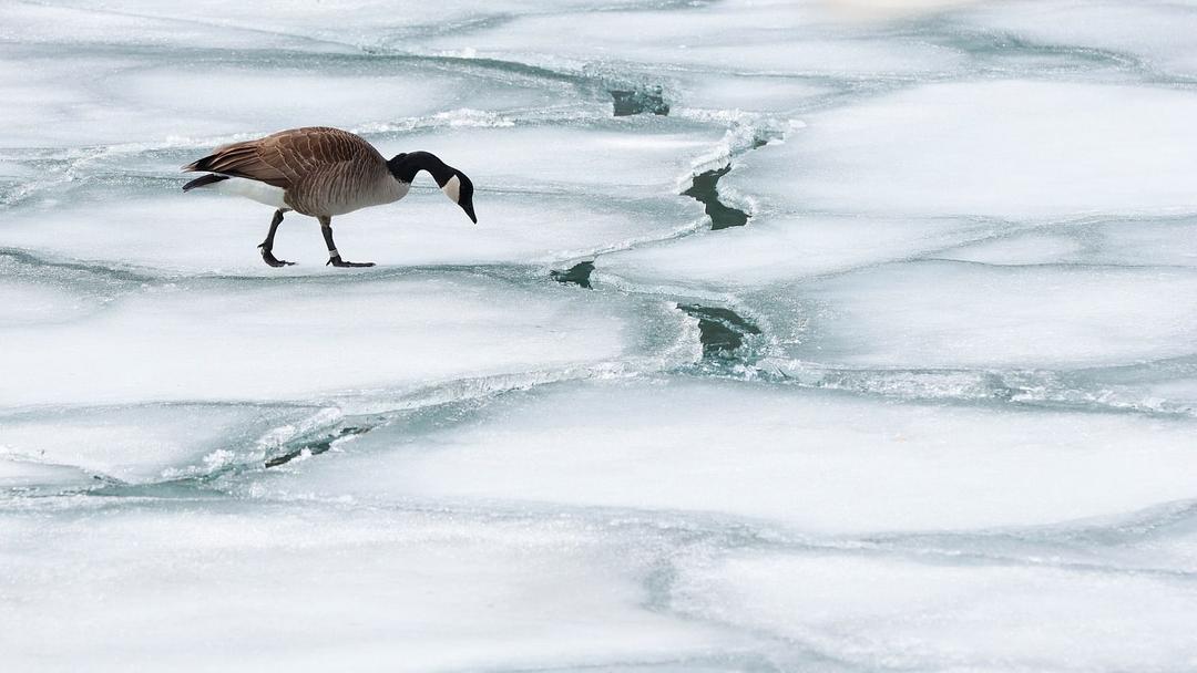 23 Ice Fishermen Rescued After Ice Shelf Breaks in Ontario