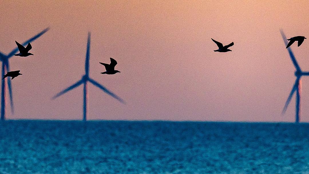 Vineyard Wind Completes Construction Despite Trump's Objection