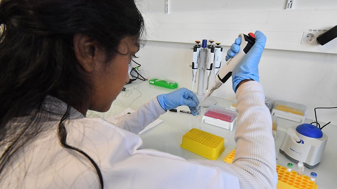 Trial Shows mRNA Vaccine Boosts Pancreatic Cancer Survival