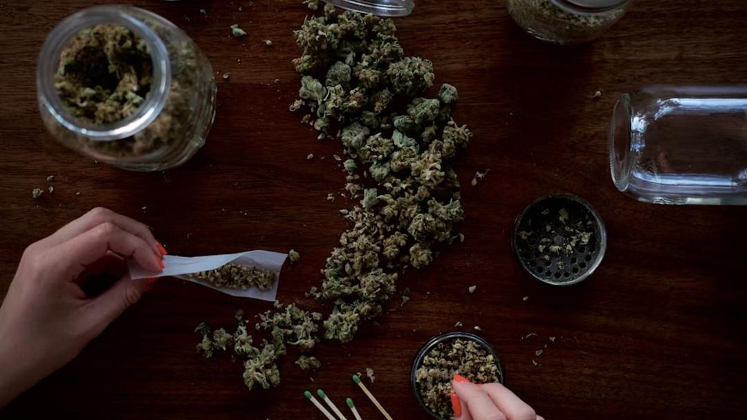 Trump Admin Moves Medical Marijuana to Schedule III