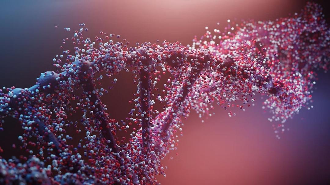 Study: Scientists Claim to Identify Genetic Keys to Limb Regeneration