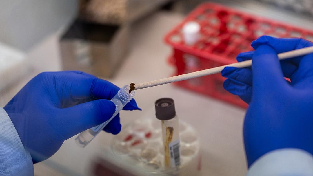 Study: Climate Change Reportedly Fueling 10% Rise in Antibiotic Resistance