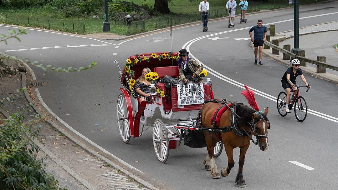 NYC Mayor Backs Carriage Ban After Horse Dies in Park