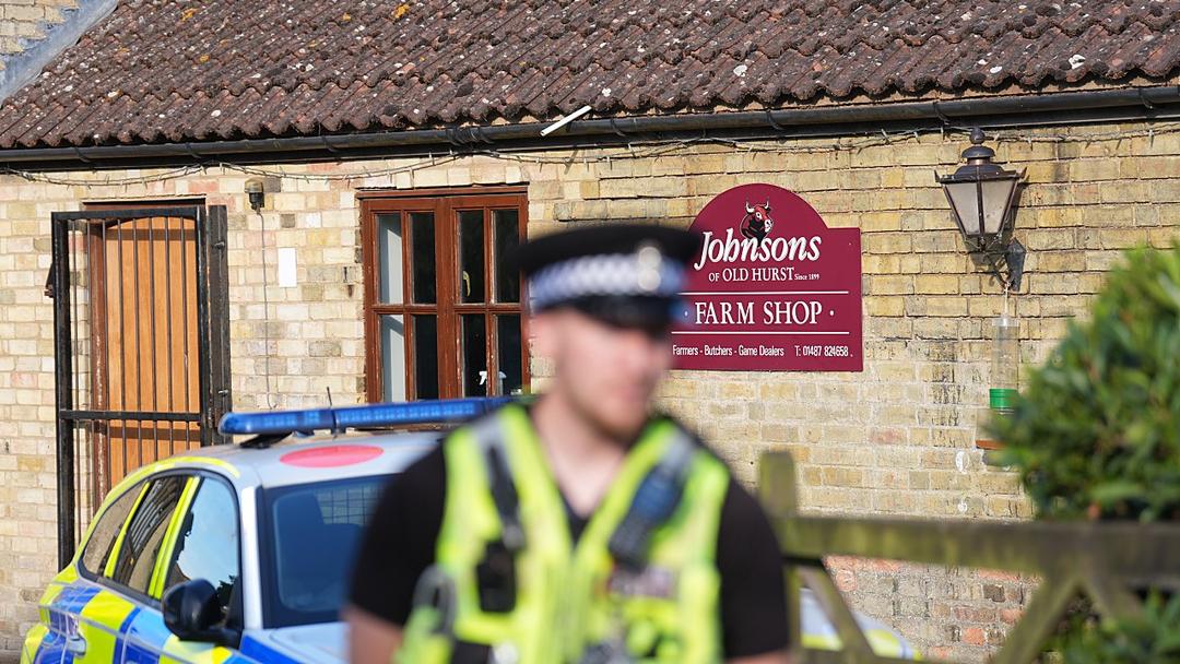 UK Man Released on Bail After Boy, 3, 'Ended Up' in Crocodile Enclosure