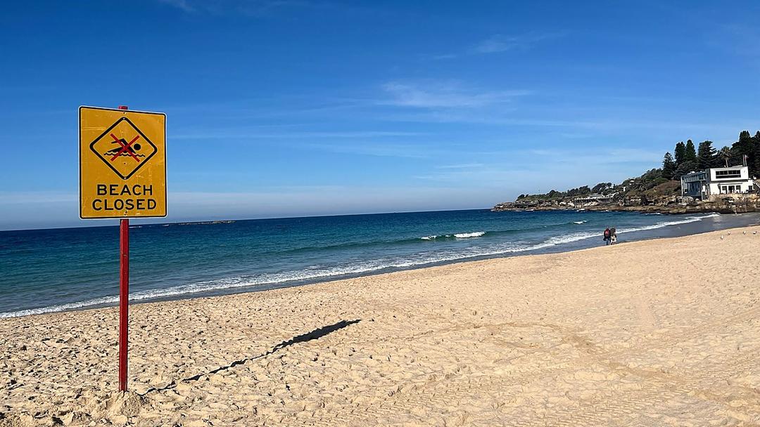Sydney Shark Attack Victim Briefly Wakes From Coma