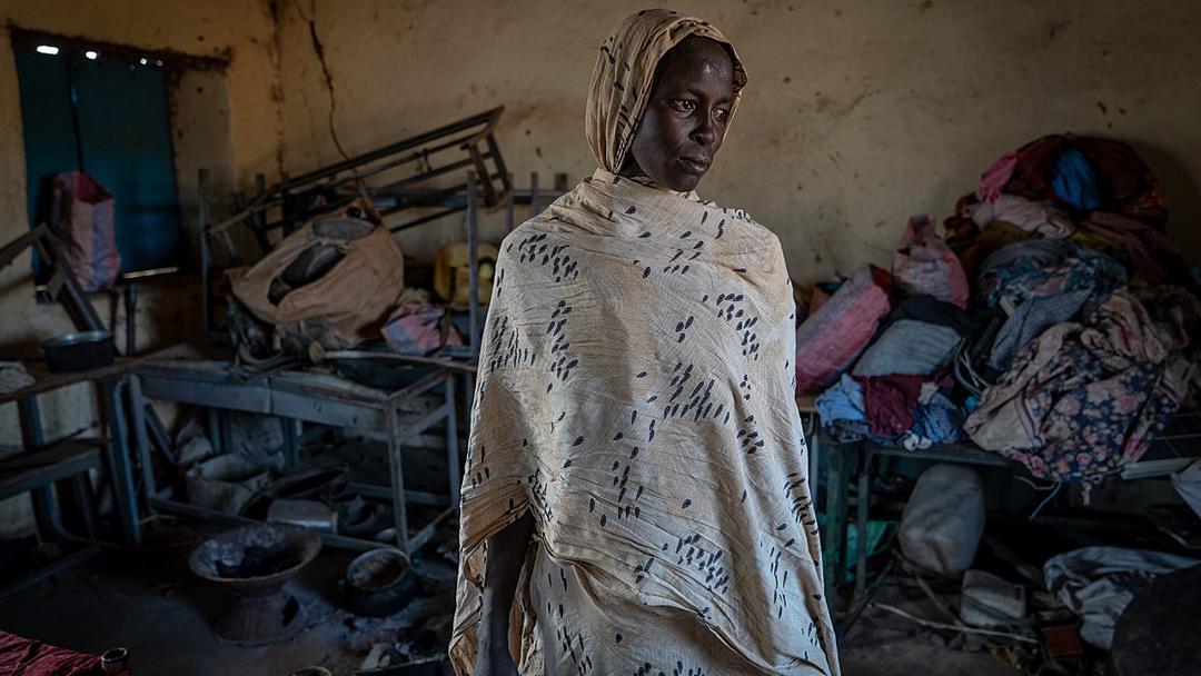 RSF Accused of Committing Genocide in Darfur's El Fasher