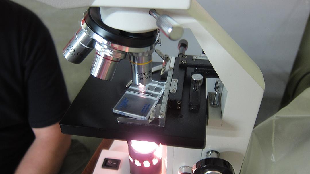 Scientists Build Cell From Scratch