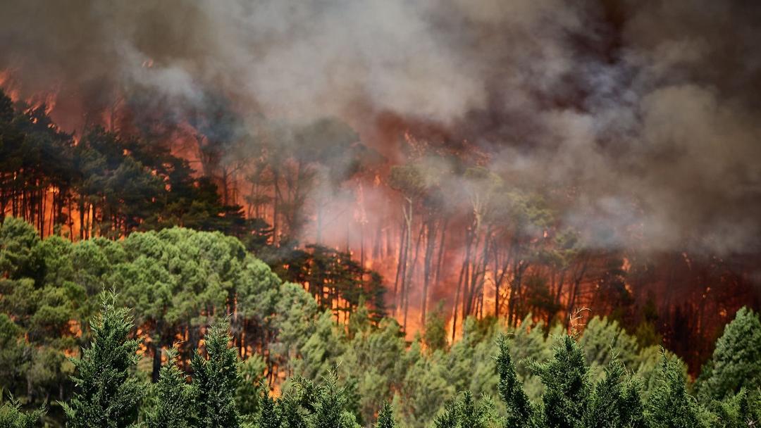 Spain Wildfire Kills 12, Forces 1K to Evacuate