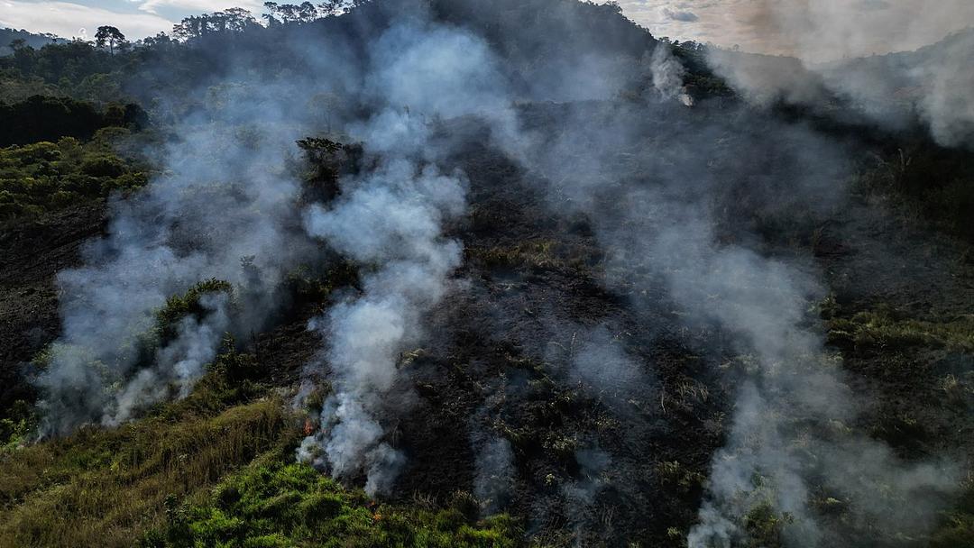 Report: Amazon Burned Area Falls to Record Low in 2025