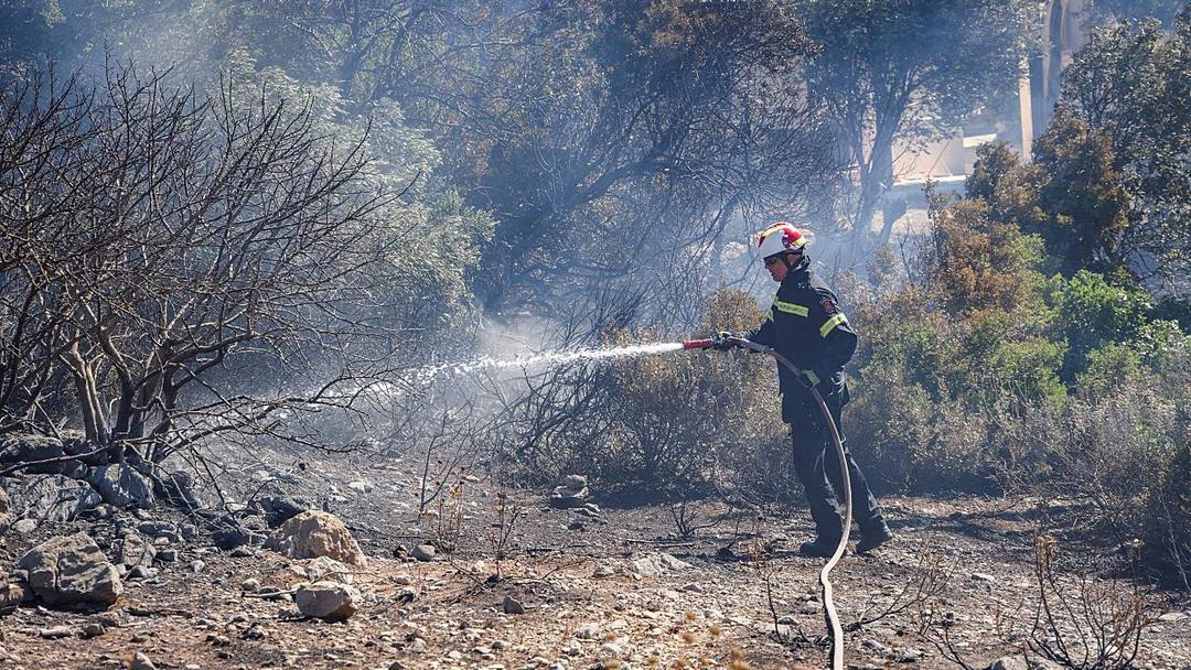 Europe Wildfires: Three Greek Firefighters Die Amid Response