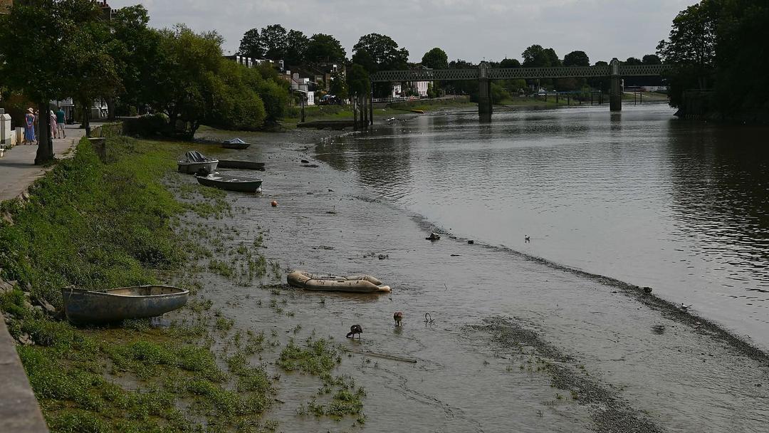England's Water Quality Hits New Low, 14.3% Pass Rate