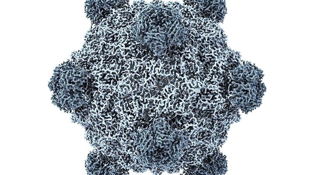 AI Designs New Viruses Not Found in Nature