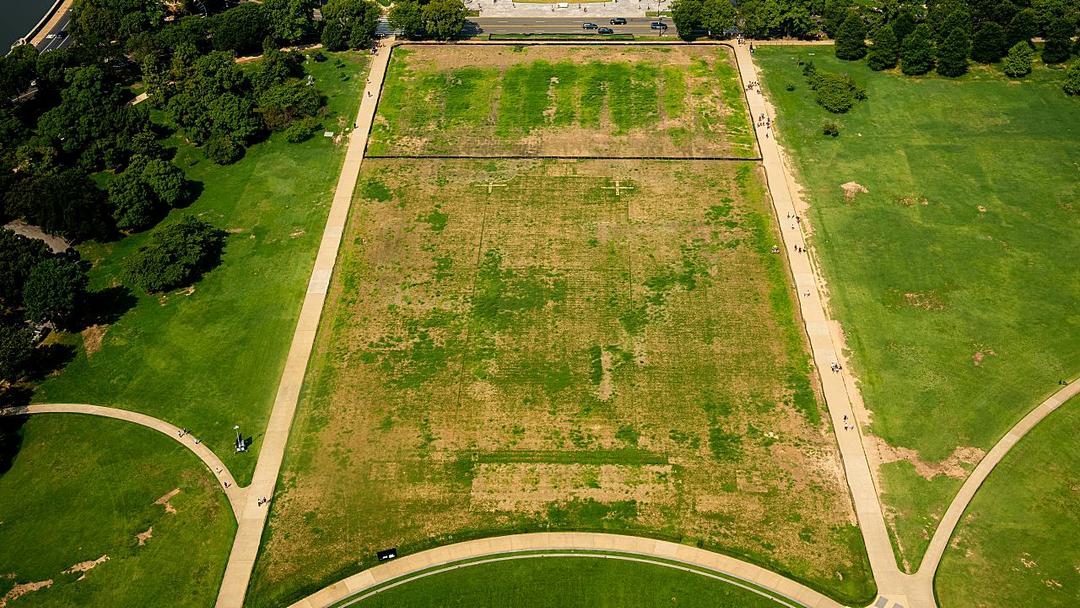 Trump Blames Vandals for Damaged Mall Grass